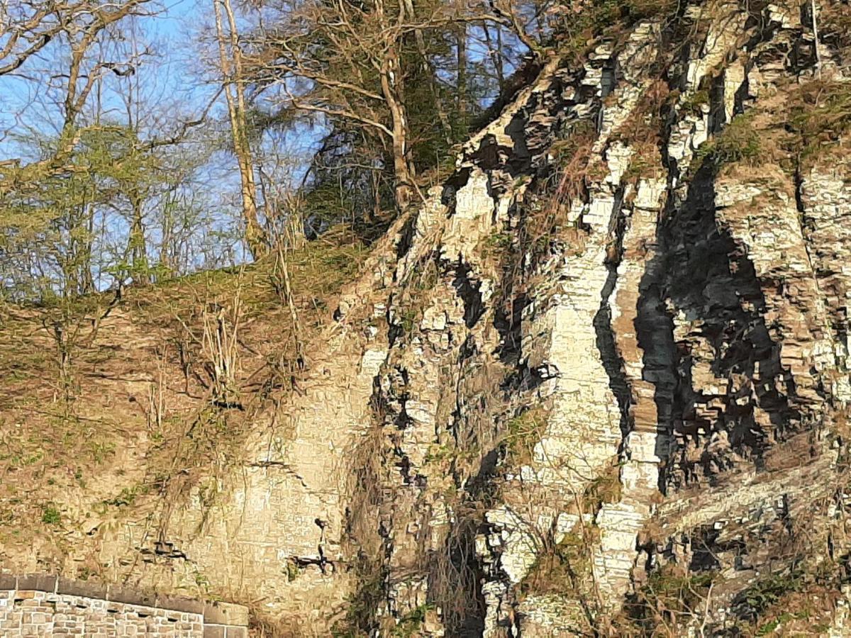 Garni-Hotel-Schaefer Schuld Extérieur photo